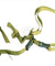 AMA OpSpec 3-Point Adjustable QD Rifle Sling - OD Green