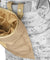 Ca-341Kn Large Foldable Dump Pouch (Cb)