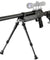 Well Airsoft SR2 Bolt Action Rifle W/ Bipod - Black