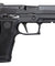 Sig Sauer Proforce P320 XCarry Gas Blowback Airsoft Pistol