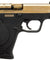 WE Tech Big Bird Full Metal Gas Blowback Airsoft Pistol (Titanium Gold)