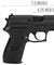 WE Tech F229R Series Gas Blowback GBB Airsoft Pistol (Black)