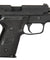 WE F229 Gas Blowback Airsoft Pistol (Black)